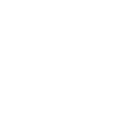 dental insurance document icon